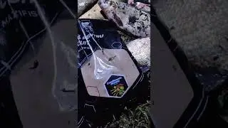 BIG TAIL СПЕЦИИ 👍🏻🎣