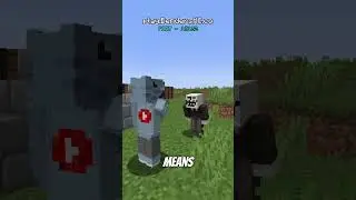 Minecraft Servers are LYING to You... 