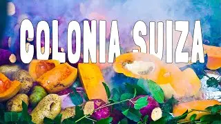 La tradición del CURANTO en COLONIA SUIZA 🍴 (Bariloche)