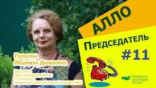 Алло, Председатель?! #11 - Курсы председателей.
