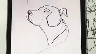 Single Line Drawing Using ProCreate App by WithOneLine