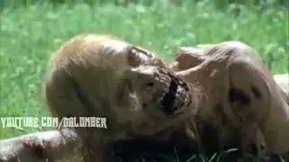 ДЕТЯМ НЕ СМОТРЕТЬ ! УПИСАТЬСЯ ОТ СМЕХА !