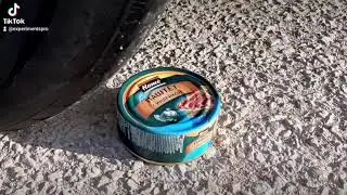 Crushing Crunchy & Soft Things by Car! EXPERIMENT ! Satisfying