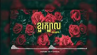 6Light_-_ខួរក្បាល