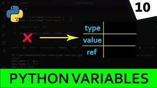 Variables in Detail | Python Programming | Python For Beginners