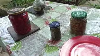 Сережки лещины замариновать или засолить. Соль и еда, если беда.