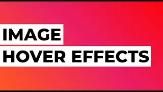 Image Hover Effects Using CSS and HTML | How To Add Hover Effect On Image | Pure CSS Hover Effects