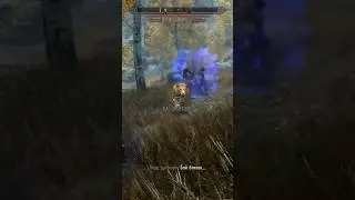 Саблезуб который чуть не обломал прохождение без получения урона. #mrcatgame #skyrim #theelderscrols