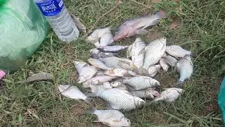 Natural fish storm is so great #fishing