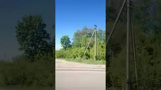 деревня,дача