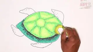 How to Draw Tortoise Step by Step  Colours  || By Weekend Art || #Episode8
