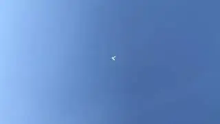 Голуби Казахстана Самата Шымкент