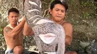 Paksiw sa Gata Giant indong or Moray Eel! 😱
