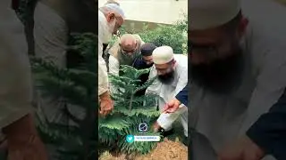 Binoria Shajar kari | 77 AZAADI |MQM