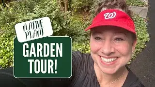 Summer Native Plant Garden Tour🌻/ Front Yard Foundation Beds👩🏻‍🌾/ August 2023😎☀️