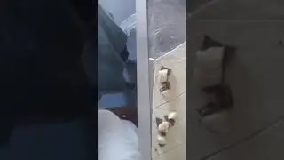 2 апреля 2020 г.