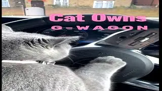 Gwagon owned by a kitten!!