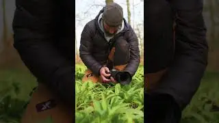 TAMRON Quick Tipp - Frühblüher fotografieren