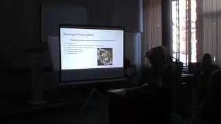 Drama queen: выразительные средства драматического сюжета в РИ