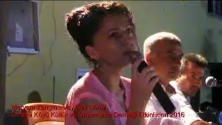 Meryem Zengin - Vay Deli Gönül