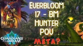 Everbloom 17 -  BM hunter POV - Meta?