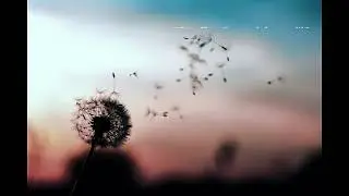 Affirmations to channelize positive thoughts