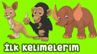 Bebekler İçin Hayvanlar - Gerçek Hayvan Sesleri - İLK KELİMELERİM