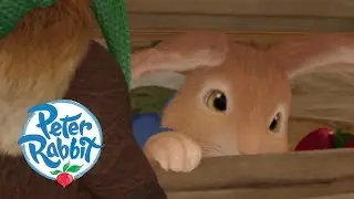 Peter Rabbit - Peter Is Caught in a Cage! | Cartoons for Kids
