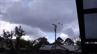 Wet Galahs