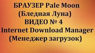 ОБЗОР И НАСТРОЙКА БРАУЗЕРА Pale Moon № 4