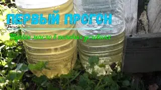 бизнес в деревне? первый опыт получения эфирного масла и гидролата из туи
