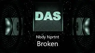 Nbdy Nprtnt - Broken