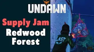 Supply Jam Redwood Forest Undawn Guide
