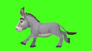 Donkey Green Screen | free donkey green screen 