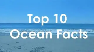 Top 10 AMAZING ocean facts in under 2 MINUTES
