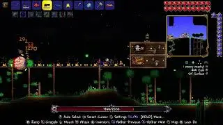 NS Terraria recording test.