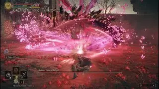Elden Ring - Romina, Saint of the Bud on lv1 - No blessing