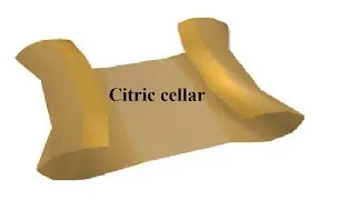 OSRS Clue | Citric cellar | Quick