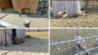 Наш день # 792 Воскресная прогулка с детьми.