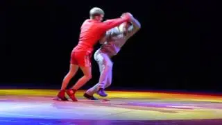 ДЕНЬ САМБО 2015 / БОЕВОЕ САМБО / показательное выступление