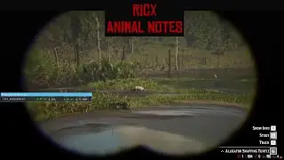 RedM Script - RicX Animal Notes - RedEM:RP & VORP & QBR Script for RedM