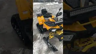 Что это? Снегоход? Квадроцикл? Первая встреча