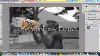 Photoshop CS6| Colour Splash Effect (Selective Colour)