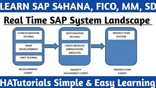Real Time SAP System Landscape Overview and How to Transport Data from One Client to Another Client