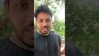 Morning cashew collection at home #food #vlog