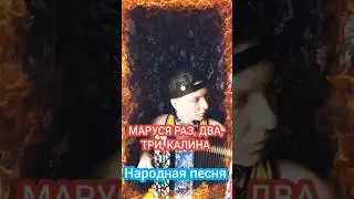 Маруся раз, два #баян #баянист #народныепесни