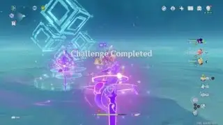 2p Raiden, no rage phase. | Genshin Impact