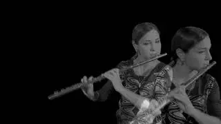Massimiliano Viel Solo (ver. 2020) per flauto - Laura Faoro