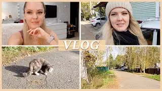 ПОДАЮ В СУД ⚖️ ПРОГУЛКА 🍂