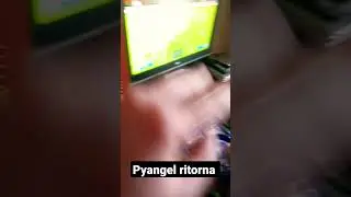 Pyangel il campione